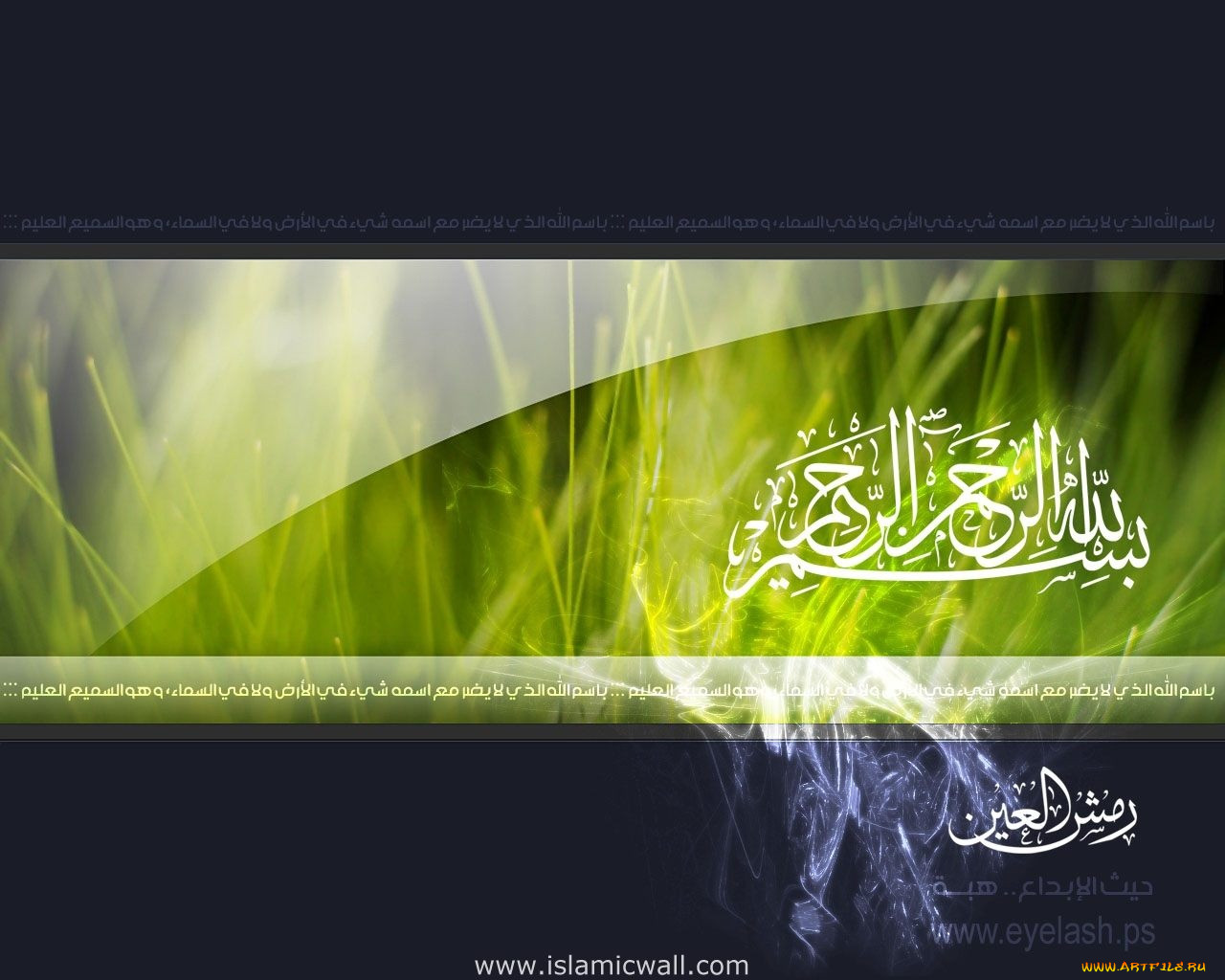 , unknown, 